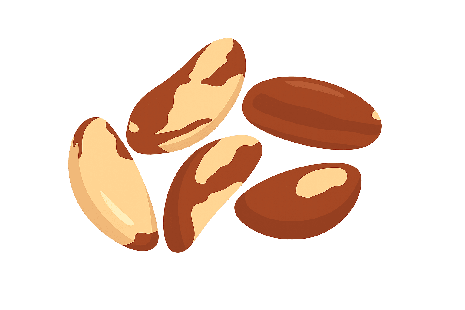 Óleo de Castanha-do-Pará