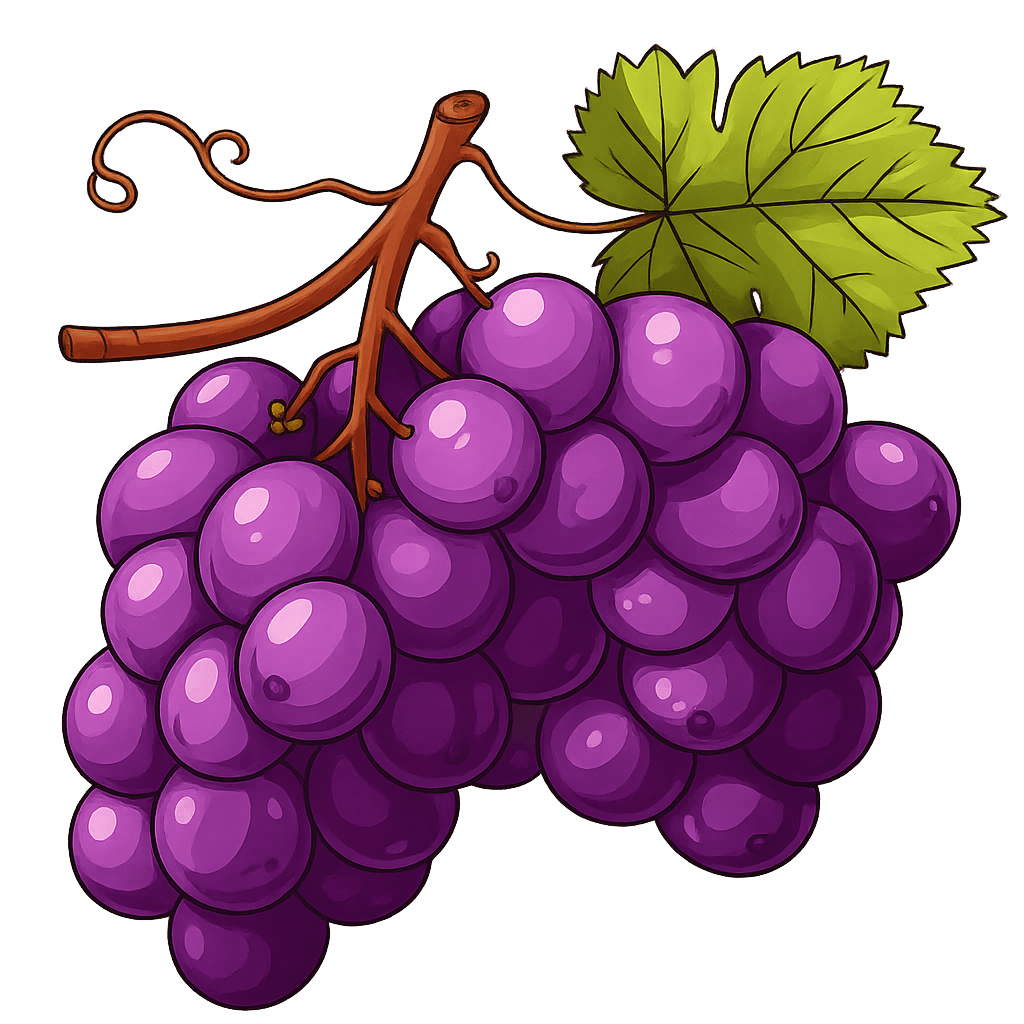 Óleo de Semente de Uva